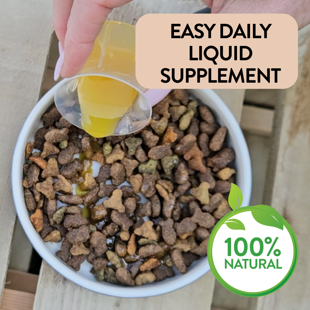 Bone, Joint & Mobility Support for Dogs