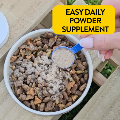 Proflax Organ Support For Dogs