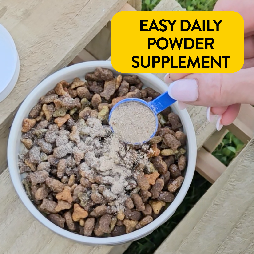 Proflax Skin & Coat Support for Dogs